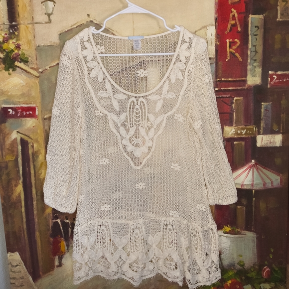 Eberjay Lace Dress/Cover - Picture 1 of 6